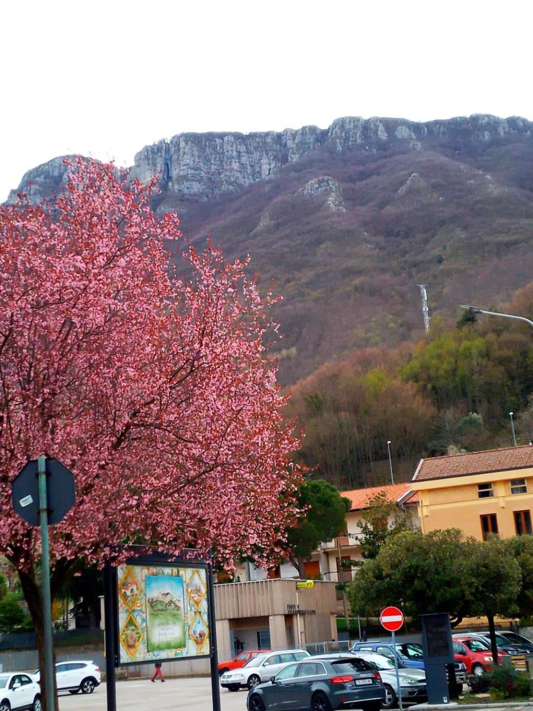 Sapori E Sapere Di Troisi Margherita Sicignano degli Alburni المظهر الخارجي الصورة
